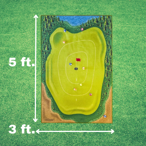 Chip n Stick Training Aid